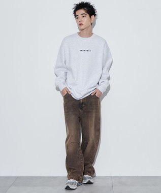 WEGO 【ユニセックス着用ITEM】アーチバックロゴグラフィックプルオーバー アッシュグレー