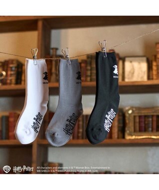 ing <ing>【ハリー・ポッターコラボレーション】エンブレムデザインソックス グレー