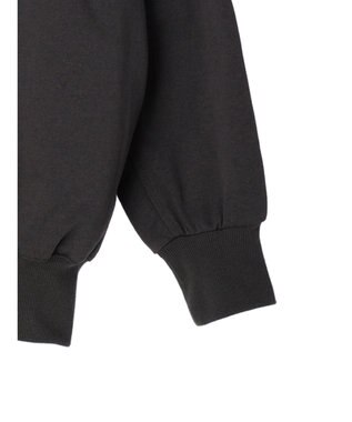 Green Parks コットンＵＳＡミニ裏毛ロングＺＩＰパーカー Dark Gray