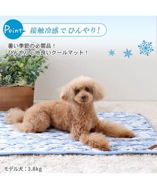 PET PARADISE 接触冷感 柔らか クールマットM《苺 ネイティブ 》 (90×60cm) ネイティブ柄