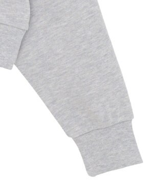 Green Parks Lucifer/ルシファー/レース英字ロゴスウェット Gray Mixture