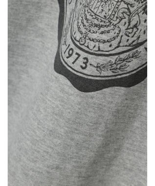 AMERICAN HOLIC リンガーロゴプルオーバー2 Gray Mixture