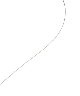 earth music&ecology スマイリースライドネックレス Silver