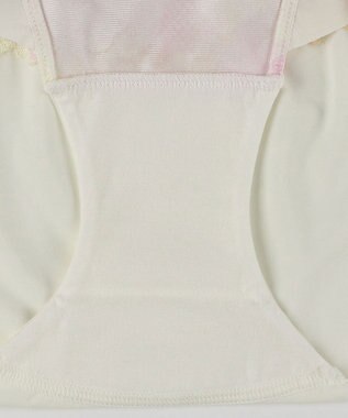 Wing ショーツ Wing Lesiage 【2900シリーズ】 PB2900・PB2901とペア はきこみ丈あさめ PF2901 ウイング／ワコール アイボリー