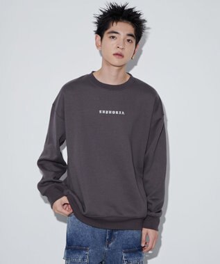 WEGO 【ユニセックス着用ITEM】アーチバックロゴグラフィックプルオーバー ブラック中濃色