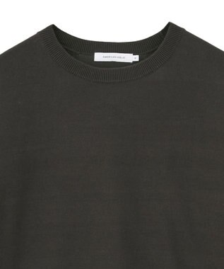 AMERICAN HOLIC バイカラークルーネックニットプルオーバー Brown