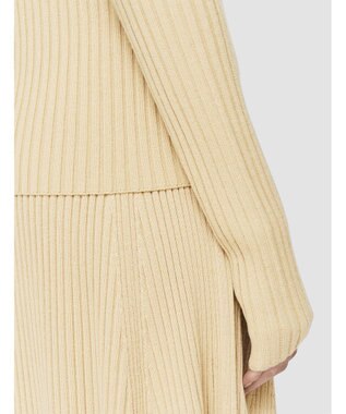 JOSEPH 【洗える】シルクブレンド　ラウンドネックニット Champagne