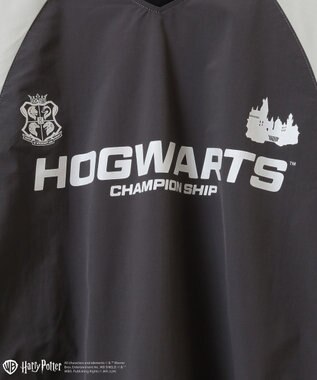 Green Parks ハリー・ポッター／ロゴプルオーバー Charcoal Gray