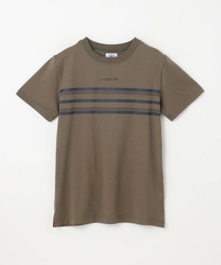J.PRESS KIDS 【140-170cm】ボーダープリント Ｔシャツ オリーブ系