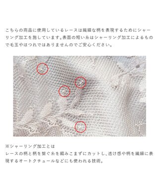 BRADELIS New York 【BRADELIS New York】ベルスタイルパンティ25A1 華やかなレースショーツ パールホワイト