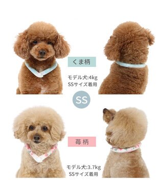 PET PARADISE ペットパラダイス 28℃クールリング SUO 《くま柄》 〔ＳＳ〕 小型犬 くまちゃん