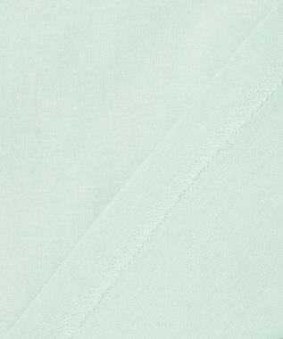 ANY KIDS 【綿100%】ドロップショルダー アニマルプリントTシャツ ミント×イヌ