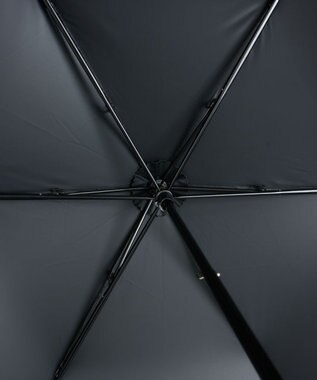 AURORA 【 BLAO（ブラオ）】刺しゅう晴雨兼用傘(折りたたみ傘) ペールグリーン