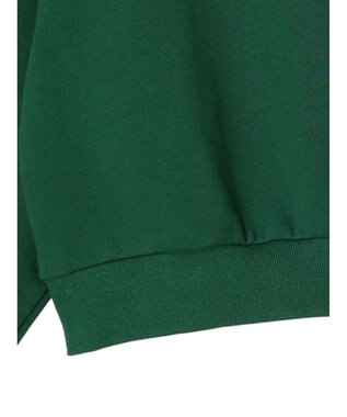 earth music&ecology ハーフＺＩＰサークルロゴ刺繍裏毛プルオーバー Green