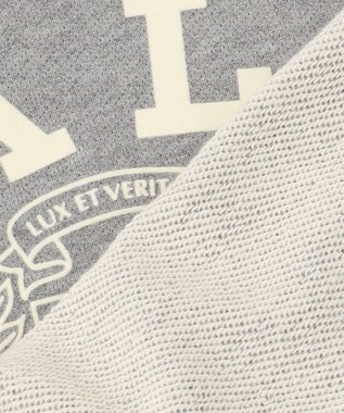 J.PRESS YORK STREET 【WOMEN】YALE × J.PRESS YORK STREET コラボショートスウェット ライトグレー系