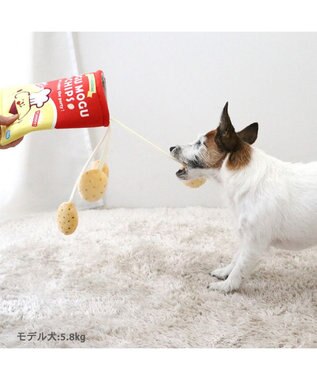 PET PARADISE ペットパラダイス ノーズワーク トイ 《ポテトチップス》 小型犬 レッド