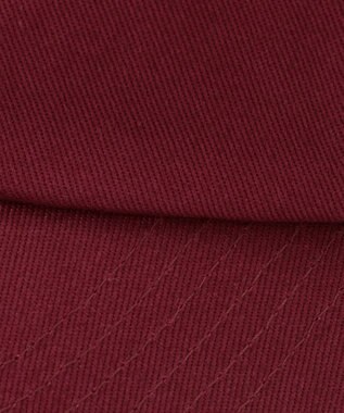 ANY 【POLO BCS別注】キャップ プラム