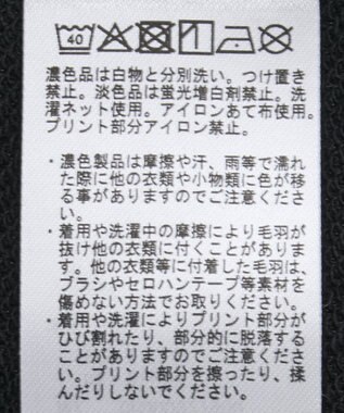 AMERICAN HOLIC 90sカラーロゴ裏毛プルオーバー Black