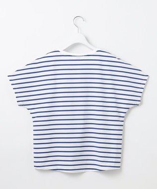 J.PRESS LADIES 【WEB限定カラーあり・洗える】ULTIM天竺ボーダー カットソー 【WEB限定カラー】オフ×ブルーボーダー系