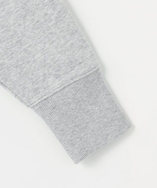 ANY ハーフジップスウェット ライトグレー