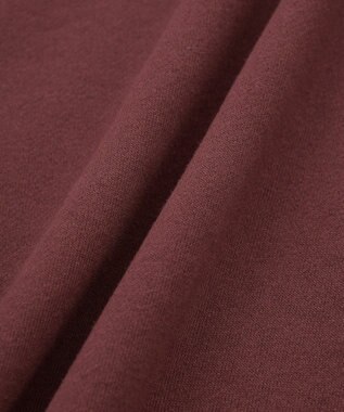 AMERICAN HOLIC Vネックワンポイントロゴスウェットプルオーバー Bordeaux