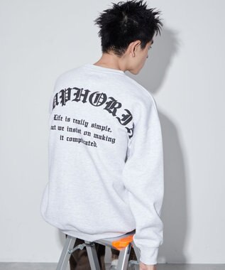 WEGO 【ユニセックス着用ITEM】アーチバックロゴグラフィックプルオーバー アッシュグレー