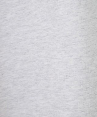 Green Parks ■ＰＥＡＮＵＴＳ　バンドロンＴ Light Gray Mixture