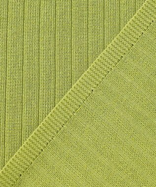 自由区 L 【アンサンブル対応】シアーシルクミックスニット プルオーバー ライトグリーン