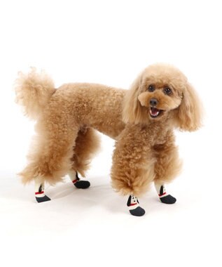 PET PARADISE スヌーピー フィットシューズ 靴下【３Ｓ】 -