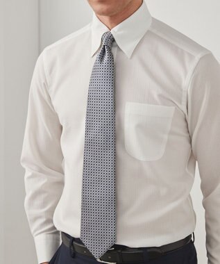 GOTAIRIKU 春夏向け【形態安定】SUMMERPREMIUMPLEATS_スナップダウンカラー _織柄_ 長袖ドレスシャツ(25年春夏モデル) ホワイト系1(ドビーストライプ)