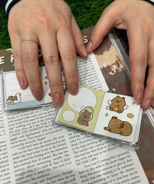 WEGO ボールチェーン付きカピバラステッカーメモ 柄2