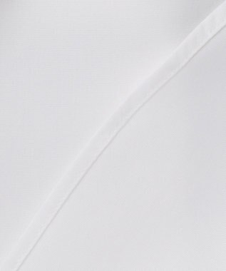 GOTAIRIKU 【形態安定】PREMIUMPLEATS_レギュラーカラー 通年ドレスシャツ ホワイト系