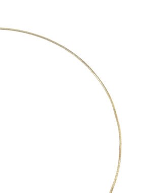 AMERICAN HOLIC コイントップY字ネックレス Gold