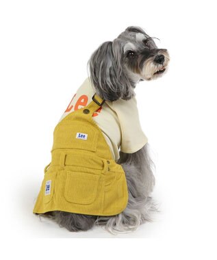 PET PARADISE Lee ワンショルダー スカートつなぎ 小型犬 グリーン