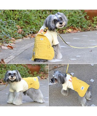 PET PARADISE Lee ワンショルダー スカートつなぎ 小型犬 グリーン