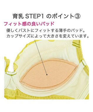 BRADELIS New York 【BRADELIS New York / 育乳補整ブラ・STEP1 集める】ジャスミンステップ1ブラ24A1 ライム
