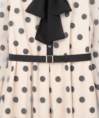 GRACE CONTINENTAL ラメドット刺繍ドレス キナリ