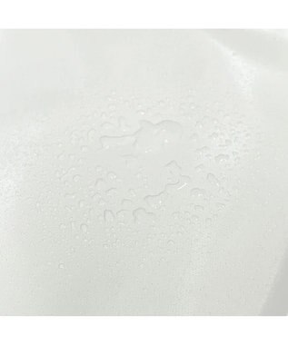 PELLE BORSA ミドルサイズショルダー W Face 4658 チアーズ アイボリー