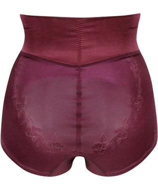 Wing ガードル 【ハミデンヌ】 ウエストのハミ肉すっきりカバー ショート丈 KQ2585 ウイング／ワコール エンジ