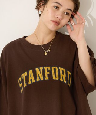 AMERICAN HOLIC STANFORD BIGプルオーバー Brown