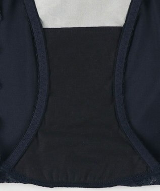 Wing ショーツ Wing Lesiage 【2910シリーズ】 PB2910とペア はきこみ丈あさめ PF2910 ウイング／ワコール コン