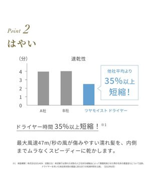 YAMATO テーブル＆キッチン 【フェスティノ】ツヤモイストドライヤー  ホワイト  SMHB-029-WH ホワイト