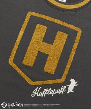 Green Parks ハリー・ポッター／サガラ刺繍ロゴプルオーバー Charcoal Gray