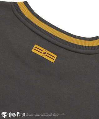 Green Parks ハリー・ポッター／サガラ刺繍ロゴプルオーバー Charcoal Gray