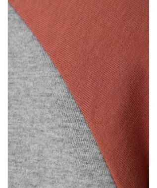 Green Parks ・Ｄｏｕｂｌｅ　Ｆｌａｇｓ　ラグラン７分袖Ｔシャツ Pink