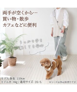 PET PARADISE ペットパラダイス くまちゃん ショルダーリード ３Ｓ～Ｓ 小型犬 ベージュ