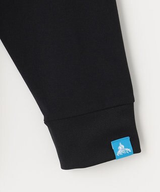 SHARE PARK LADIES 【UNISEX】UVカット アートコラボロングTシャツ〈CAMP〉（S・Mサイズ） ブラック