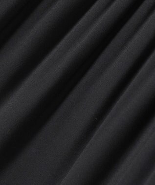 J.PRESS LADIES S 【洗える】ノルディス2wayジョーゼット プリーツ スカート ブラック系