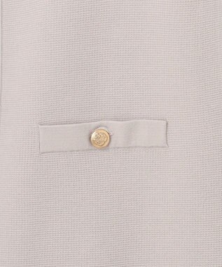 J.PRESS LADIES L 【洗える】VIS/PE ROME ニット ジレベスト グレージュ系