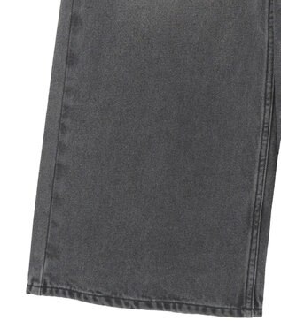 AMERICAN HOLIC ワイドデニム【WEB限定サイズ有り】 Gray